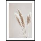 Gallerix Poster Boho Dried In Nature No6 30x40 5299-30x40