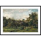 Gallerix Poster Boomgaard By Charles-François Daubigny 21x30 4960-21x30