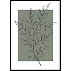 Gallerix Poster Botanical Sketch No2 5510-21x30G