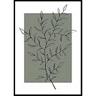 Gallerix Poster Botanical Sketch No2 30x40 5510-30x40