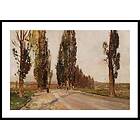 Gallerix Poster Boulevard Of Poplars Near Plankenberg By Emil Jakob Schindler Schindle 5005-50x70