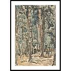 Gallerix Poster Bosgezicht By Wilhelmus Johannes Steenhoff 50x70 4973-50x70