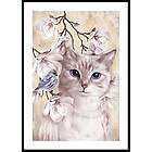 Gallerix Poster Cat Girl 4657-21x30G