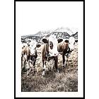 Gallerix Poster Cattle In Field 5346-21x30G