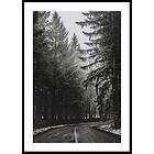 Gallerix Poster Deep Forest Road 30x40 4882-30x40