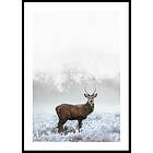 Gallerix Poster Deer In Field 30x40 4897-30x40