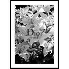 Gallerix Poster Dior Paris 30x40 4680-30x40