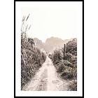 Gallerix Poster Dirt Road In Grass Fields 21x30 5318-21x30