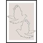 Gallerix Poster Doves Line Drawing 50x70 5287-50x70