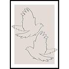 Gallerix Poster Doves Line Drawing 30x40 5287-30x40