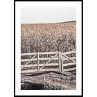 Gallerix Poster Dried Fields 70x100 5298-70x100