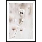 Gallerix Poster Dried Spring Flower 21x30 5300-21x30