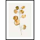 Gallerix Poster Eucalyptus Gold No3 30x40 4861-30x40