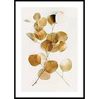 Gallerix Poster Eucalyptus Gold No4 30x40 4860-30x40