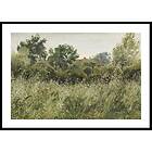 Gallerix Poster Field of Oats Near Vejby By P. C. Skovgaard 30x40 4906-30x40