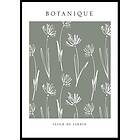 Gallerix Poster Fleur De Jardin No2 4611-30x40G