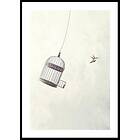 Gallerix Poster Flying Towards Freedom 30x40 5132-30x40