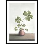 Gallerix Poster Four Leaf Clovers Luck 5195-21x30G