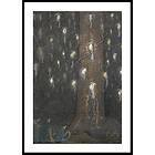 Gallerix Poster Fågelsången av John Bauer By 50x70 4775-50x70
