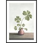 Gallerix Poster Four Leaf Clovers Luck 70x100 5195-70x100