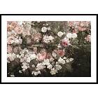Gallerix Poster Garden In May By Maria Oakey Dewing 50x70 5110-50x70