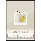 Gallerix Poster Gin Tonic Cocktail 21x30 5141-21x30