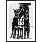 Gallerix Poster Givenchy Fashion 70x100 4684-70x100