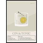 Gallerix Poster Gin Tonic Cocktail 50x70 5141-50x70