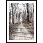 Gallerix Poster Gravel Road In Autumn Forest 50x70 5320-50x70