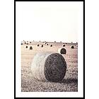 Gallerix Poster Hay Bale 21x30 5308-21x30