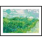 Gallerix Poster Green Wheat Fields Auvers By Vincent van Gogh 50x70 4810-50x70