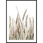Gallerix Poster Growing Wild 5310-21x30G