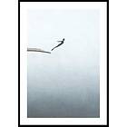 Gallerix Poster Jumping In The Void 70x100 5188-70x100