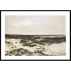 Gallerix Poster Les Dunes à Camiers By Charles-François Daubigny 4923-21x30G