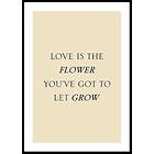 Gallerix Poster Love Is The Flower 4638-21x30G