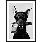 Gallerix Poster Loaded Dog 50x70 4683-50x70