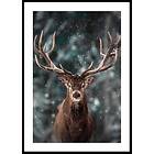 Gallerix Poster Majestic Deer 70x100 4841-70x100