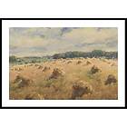 Gallerix Poster Maryland Wheat Fields By William Henry Holmes 4837-21x30G