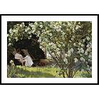 Gallerix Poster Marie Krøyer Seated By P.S. 4939-21x30G