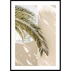 Gallerix Poster Mediterranean Palm Leaves 21x30 4654-21x30