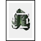 Gallerix Poster Monstera Boxed 21x30 5037-21x30