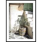 Gallerix Poster Olive Tree Entrance 50x70 4613-50x70