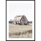 Gallerix Poster Old Wooden Farm House 21x30 5330-21x30