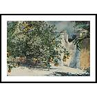 Gallerix Poster Orange Trees And Gate By Winslow Homer 70x100 4907-70x100