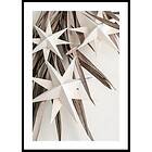 Gallerix Poster Paper Stars 70x100 4859-70x100