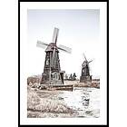 Gallerix Poster Old Wind Mills 21x30 5336-21x30