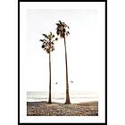 Gallerix Poster Paradise Palm Trees 21x30 4668-21x30