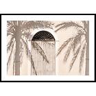Gallerix Poster Palm Tree Shadows 50x70 4655-50x70