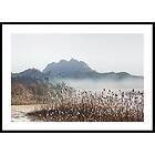Gallerix Poster Pathway Near The River 4697-21x30G
