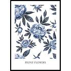 Gallerix Poster Peony Flowers 50x70 4624-50x70